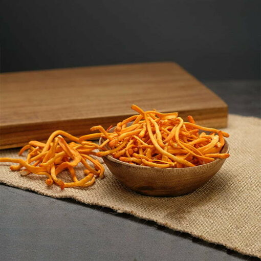 Cordyceps