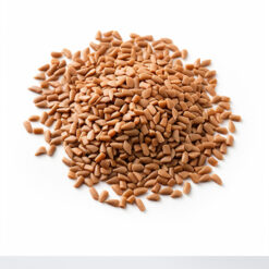 fish food