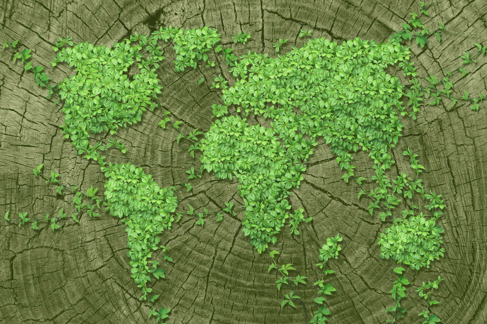 Global Spread NATURAL POLAND