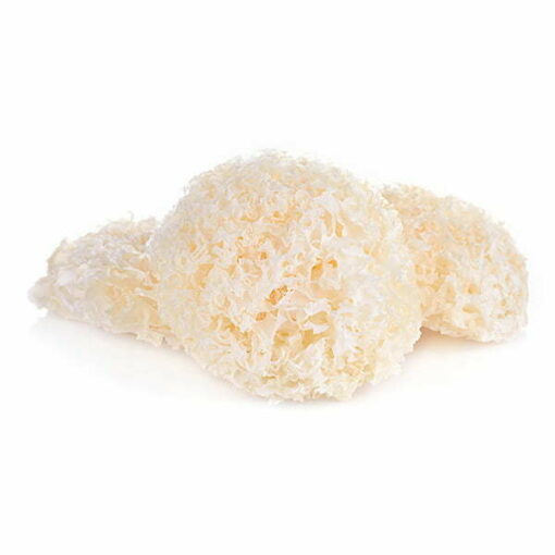 grzyb tremella