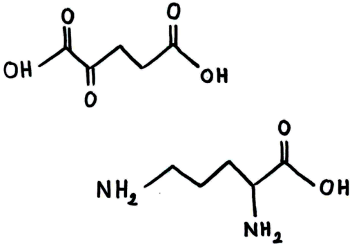 L-Ornithine Alpha Ketoglutarate 2:1